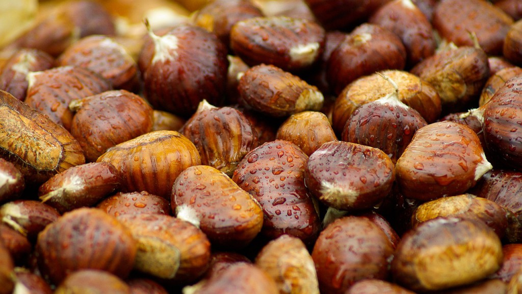 chestnuts-994138_1280